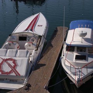 We declined their offer for a race to Catalina and Back