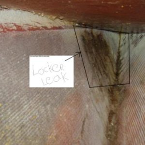 Media 'leak detected discoloration outlined by box' in album '%&*#! leaks in here somewhere!'
