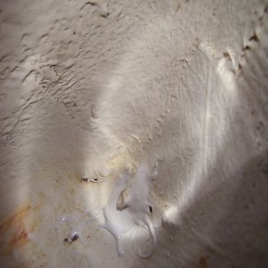 Media '021' in album '%&*#! leaks in here somewhere!'