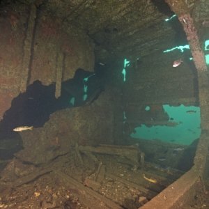 Barge 4