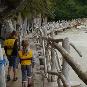 Awesome driftwood pier at Hakai