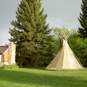 Tree to right of TeePee is Nesting Tree