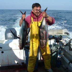 Media 'Two nice Albacore...out of Half Moon Bay' in album 'Albacore taken about 25 miles out of Half Moon Bay'