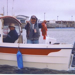 Media 'The S.S. "Stumpy" headed back into the marina with some nice fish' in album 'Albacore taken about 25 miles out of Half Moon Bay'