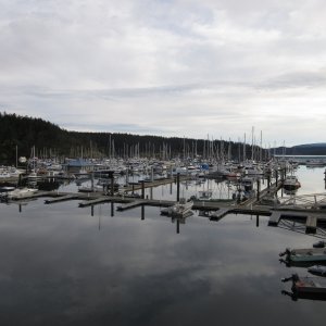 Media 'Friday Harbor Marina Saturday morning' in album 'Arriving at the marina Friday night around 7:30. "My Heaven" in the background.'