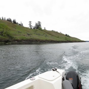 Media 'Spieden Island is so picturesque this time of year, before the grass turns brown.' in album 'Arriving at the marina Friday night around 7:30. "My Heaven" in the background.'