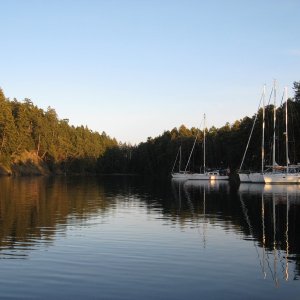 Wallace Island park early morning
