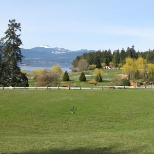 anglican retreat meadow