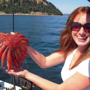 Amber's catch