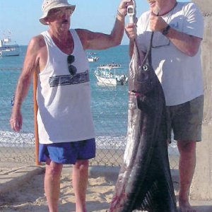 Rincon: Eds fish