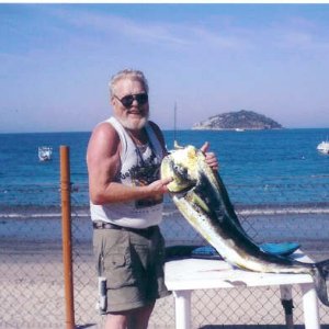 30 lbs Dorado