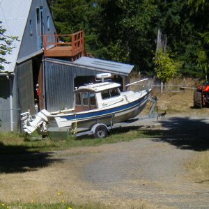 C-esta at home in Port Angeles, Wa.