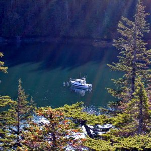 Cannery Ruins, McClure Bay, 10-14-06, Coho at anchor