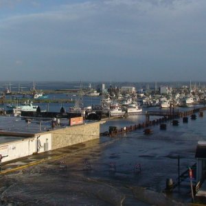 From the observation tower looking back to the harbor
