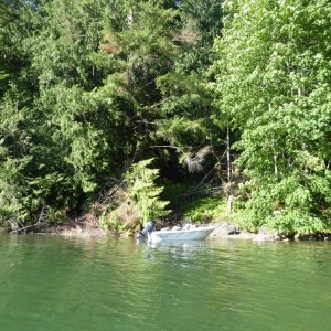 the landing at Melanie Cove as seen from the water