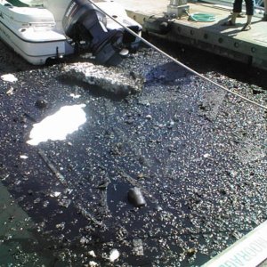 (eieioh) Harborview Marina fire