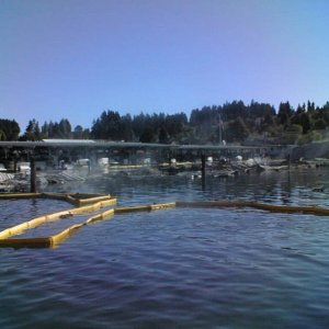 (eieioh) Harborview Marina fire