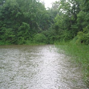 Storm Cove