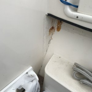 Media 'StarboardGunnelAftCabinBulkhead' in album 'AftCabinBulkheadunderDoorInsideCabin'