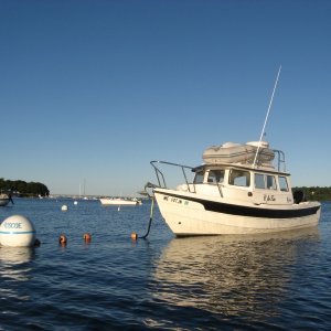 Home on the mooring