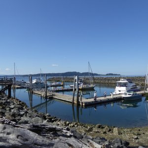 Blake Island marina on a Wednesday afternoon in July - still plenty of space but it filled up by evening.