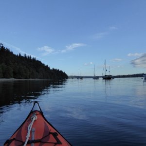 Despite the marina being only about half full, every buoy was full!