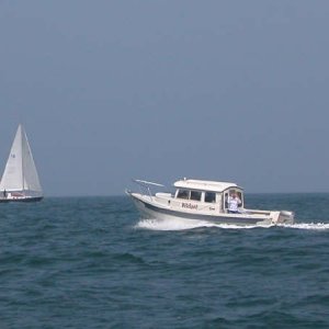 Widget buzzing on Buzzard's Bay