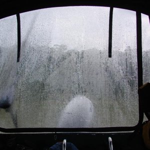82