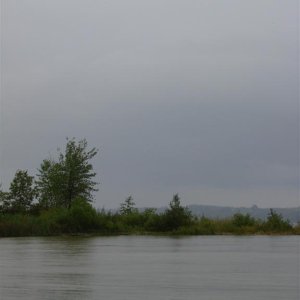 85