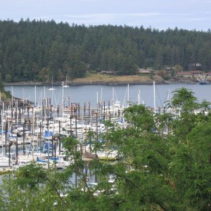 Friday Harbor