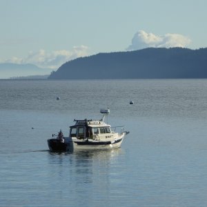 Missy leaving Fossil Bay. Aside from the park ranger, this was the only other boat I saw all day long, both during the 2-hour cruise from Anacortes, and in Fossil Bay. What does that say about us C-Brats? Crazy? or Smart?