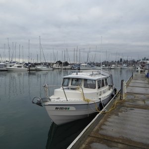 Gate 12 visitor dock in Squalicum Harbor
