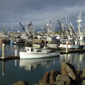 Boat in front is similar to what I remember throughout the marina as a kid