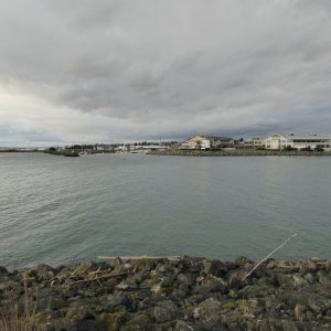 Squalicum Harbor entrance as seen from new waterfront trail