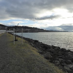 View of bay from new trail