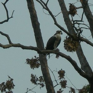 One of the current occupants