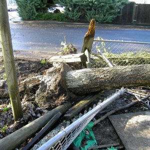 Media '(Mr. Fisherman) 
Flat fence.' in album '(Mr. Fisherman) 
The new look for the fence.'