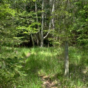 Duck lake trail, hidden back behind the shrubs, if not for the sign I would hav missed it.