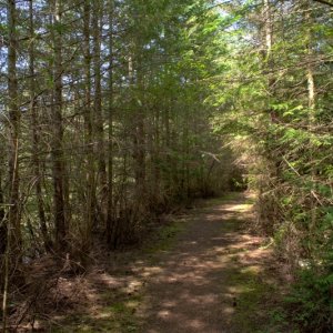 Trail along east side of lake heading north. At least a dozen different types of birds singing loudly along this trail, it was a bit surreal.
