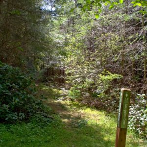 Trail to Smuggler Cove. Hmmm. The Navionics charts on my iPhone doesn't show any Smugglers Coves on Cypress, so not sure where this goes. Guess we'll find out!