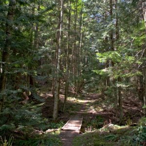Trail down to Smugglers Cove