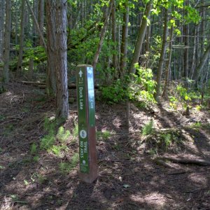 Trail head at Smugglers Cove