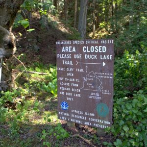 An older sign that appears to reference a direct route to Eagle Cliff which is no longer maintained. Currently the only official trail to Eagle Cliff is accessed from the Pelican Beach trail.
