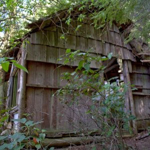 Noticed another old cabin just above the beach
