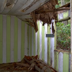 A look inside. Fairly recent storm damage from a tree that fell through the roof.