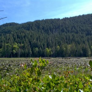 Another look at Duck Lake on the way back to Eagle Harbor