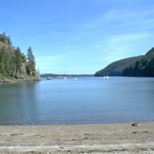 Back down at Eagle Harbor, the tide has come in