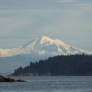 View of Mount Baker from Fossil Bay