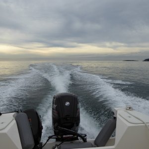 The dolphins finally lost interest and now on my way to Anacortes for the next phase of my 5 day November trip