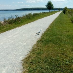 Waterfront Trail